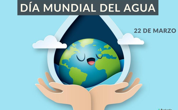  Día Mundial del Agua: ¿Cómo cuidar este recurso vital? – Chicureohoy.cl – Portal de noticias